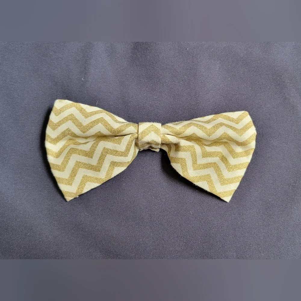 Dog collar 4.5
